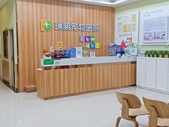 -瑞鹏宠物医院·骨科·猫科·内科(第一中心)