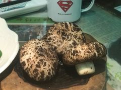 蘑菇包-豆蔻电影主题餐厅(四牌楼店)