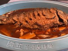 -阿五黄河大鲤鱼(英协路店)