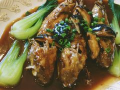 -天正河鲀·河豚亭(大连店)