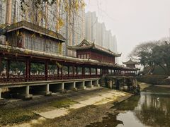 -温江公园