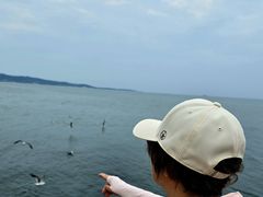 -悦海公园