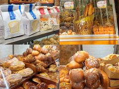 -苹果花园(枫林路店)