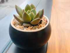 -Peet's Coffee皮爷咖啡(上海长风大悦城店)