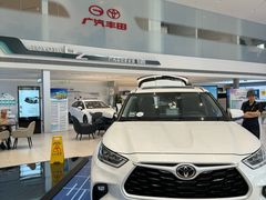 -广汽丰田(博瑞东贸店)