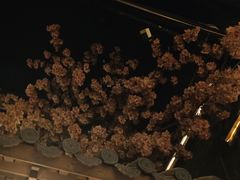 -淀里船宴(卓达店)