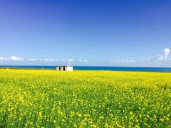 -青海湖国家重点风景名胜区售票处