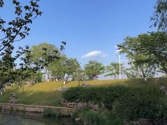 -羊山湖公园