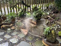 -深圳仙湖植物园