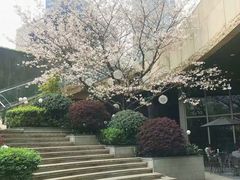 -星巴克臻选(杭州万象城店)