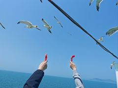-长岛南北长山旅游景区