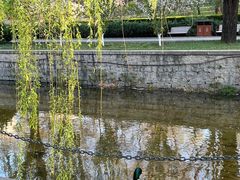 -元大都城垣遗址公园