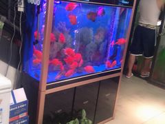 -老杨头烧烤(博烤堂店)