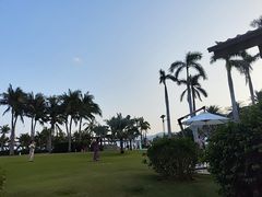 -三亚亚龙湾瑞吉酒店·宴悦Driftwood·游水海鲜·牛排·草坪·私人定制