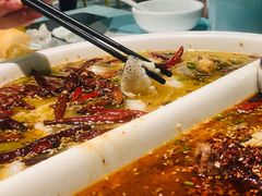-姚姚酸菜鱼·金戈戈香港豉油鸡(喜荟城联名店)