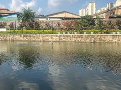 -石炮台公园