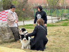 -帝京日语(春熙路旗舰校区)