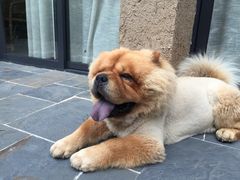 -看见远方·莫干遥远的山民宿