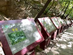 -北京上方山国家森林公园