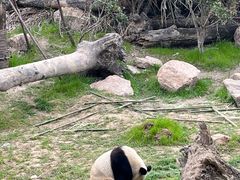 -宁波野生动物园