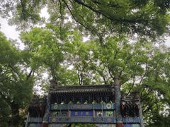 -北京国子监胡同