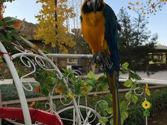 -辛玛王国游乐园