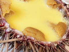 海胆-海味当家(西安路店)