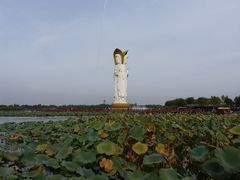 -白洋淀景区