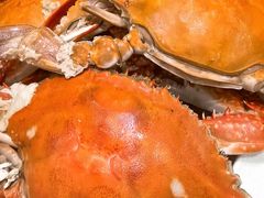 -北塘海鲜·天津菜(大光明桥旗舰店)
