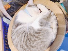 -小时光咖啡馆(开森度假森林店)
