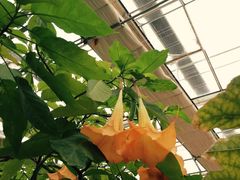 -天源吉布世温泉水乐园