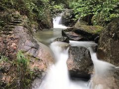 -九龙江国家森林公园