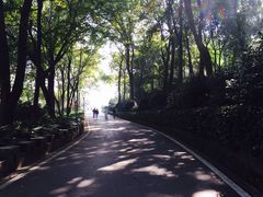 -上海市保健医疗中心(华东疗养院)