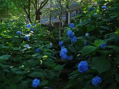 -达蓬山旅游度假区