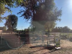 -北京群众马术培训基地