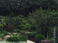 -汇雅温泉