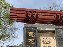 -莲花池公园