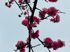 -艾溪湖湿地公园