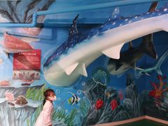 -烟台海昌鲸鲨海洋公园