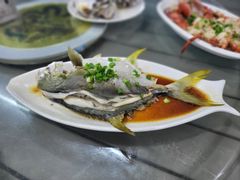 -七鲜渔港美食餐厅(巽寮湾海景店)