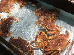 -尚海豆捞(乐虹坊店)