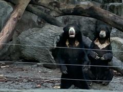 -清迈夜间动物园