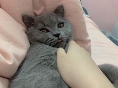 -沐沐家宠物(成寿寺店)