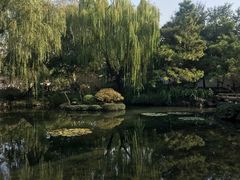 -秋霞圃