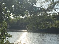 -瑶湖郊野森林公园