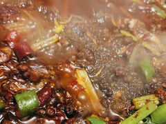 -红辣椒·川菜·火锅(张杨路店)