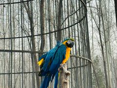 -北京野生动物园