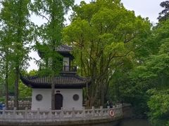 -汇龙潭