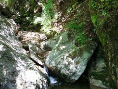 -王顺山国家森林公园