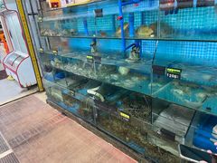 -岛中岛·海鲜大排档·万宁老字号(东澳店)